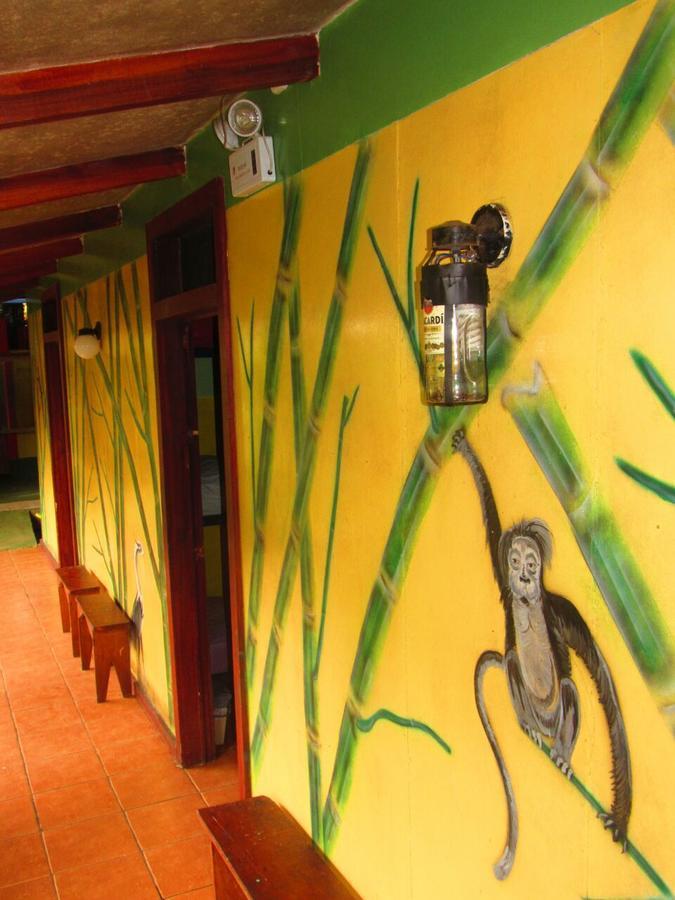 Hakuna Matata Hostel Cahuita Εξωτερικό φωτογραφία