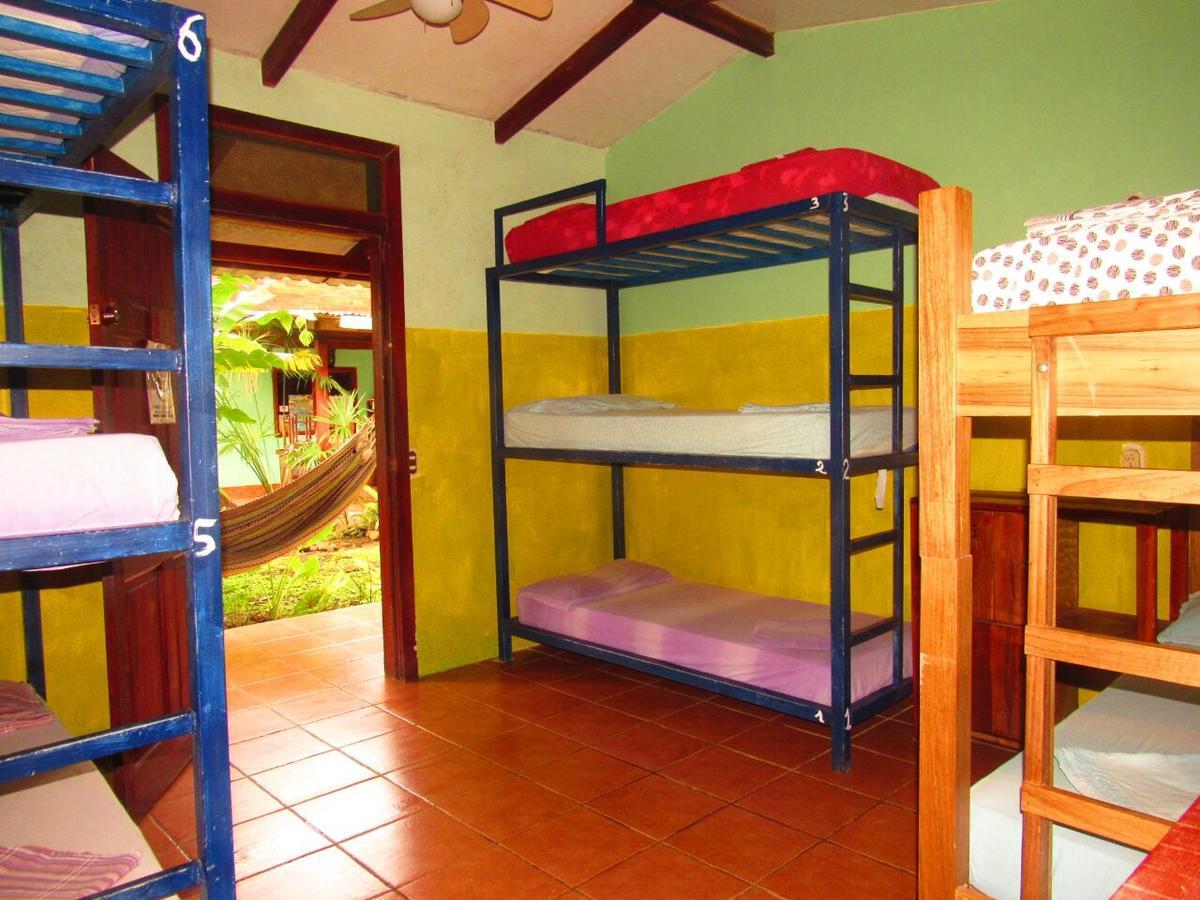 Hakuna Matata Hostel Cahuita Εξωτερικό φωτογραφία