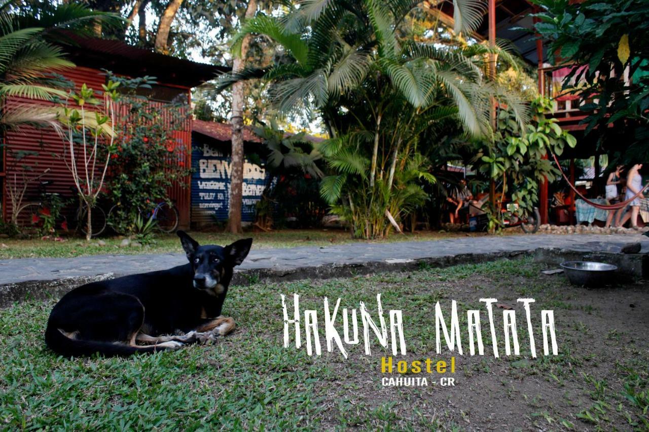 Hakuna Matata Hostel Cahuita Εξωτερικό φωτογραφία