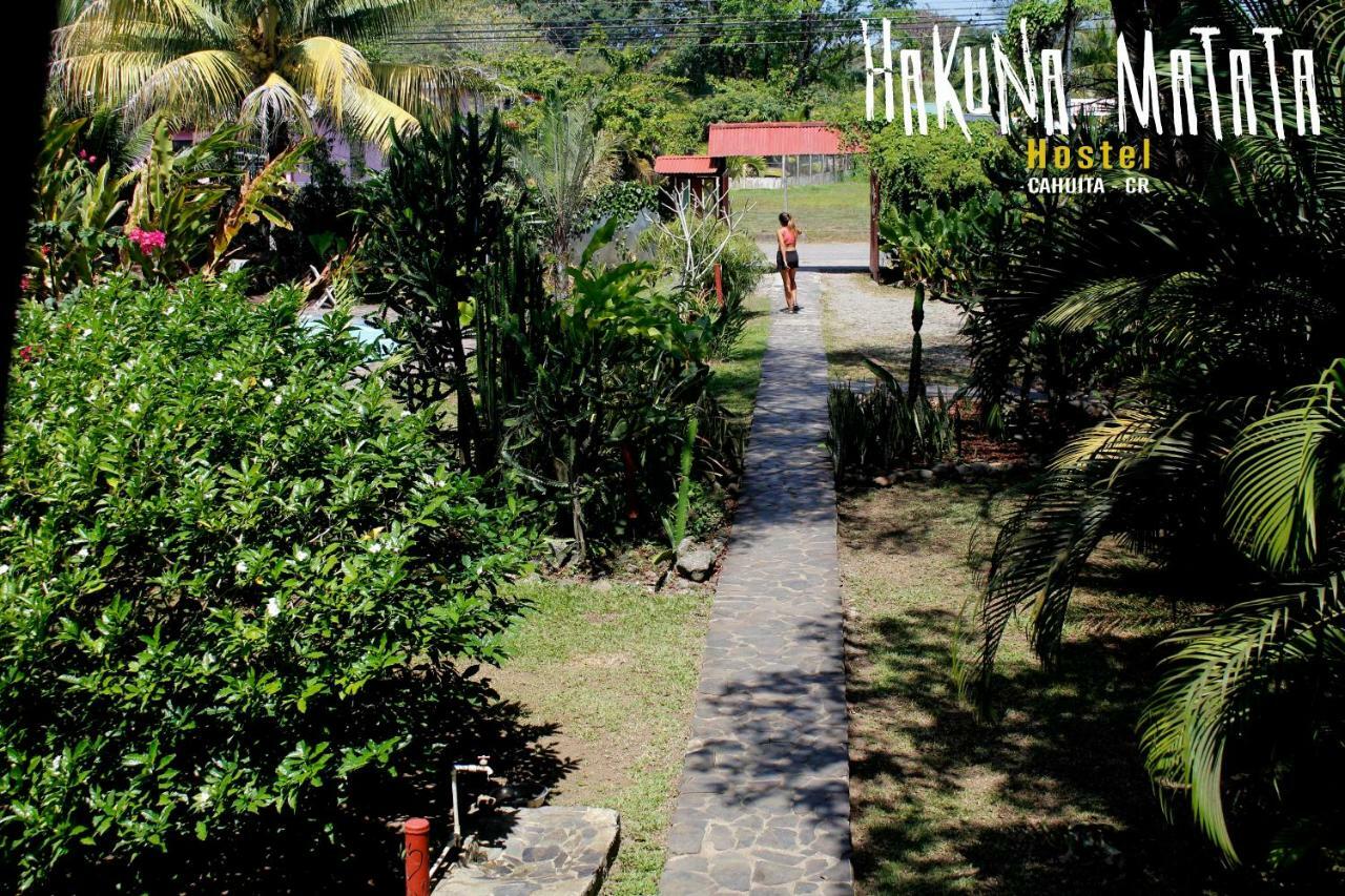 Hakuna Matata Hostel Cahuita Εξωτερικό φωτογραφία